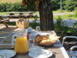 uma mesa de piquenique com uma cesta de pão e sumo de laranja em Auberge des crêtes em La Palud sur Verdon