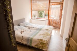 ein Bett in einem Zimmer mit Fenster in der Unterkunft Beachhouse Anna, 1 minute walk to the beach and centre of Katwijk, Free private parking next to the house ! in Katwijk aan Zee