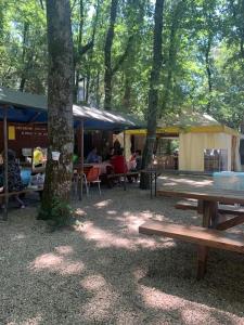 un'area picnic con persone sedute ai tavoli in un parco di Casa Macla a Poggio Catino
