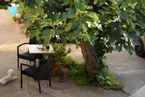 une table et des chaises assises à côté d'un arbre dans l'établissement Studio apartman MARINA, à Vodice