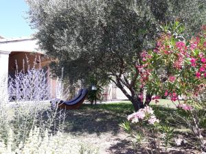 einen Garten mit einem Baum, einer Bank und Blumen in der Unterkunft Parfums de Provence "Le Lavandin" Piscine chauffée & Spa in Vaison-la-Romaine