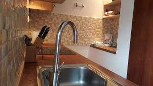 una cocina con fregadero y grifo en Apartments & Hostel Bohinj en Bohinj