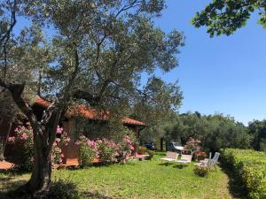 a garden with a house with a tree and chairs at Cottage Gaia with sea view, fenced garden by ToscanaTour in Guardistallo