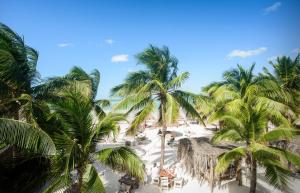 a beach with palm trees and palm trees at Casa Las Tortugas Petit Beach Hotel & Spa in Holbox Island