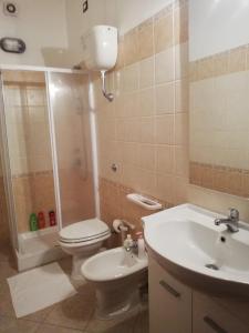 ein Bad mit einem WC, einem Waschbecken und einer Dusche in der Unterkunft LOCAZIONE TURISTICA " Su Passizzeri " in Suni