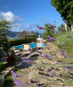 un jardin avec des fleurs violettes et une piscine dans l'établissement Paradiso Di Manù, à Noli