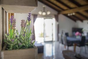 Fotografie z fotogalerie ubytování Comfortable apartment TIA v destinaci Privlaka