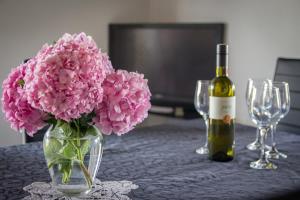 Fotografie z fotogalerie ubytování Comfortable apartment TIA v destinaci Privlaka