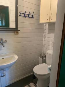 ein Badezimmer mit einem weißen WC und einem Waschbecken in der Unterkunft DOM NA GÓRCE in Narty