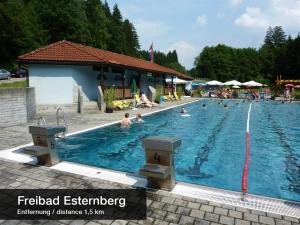 a group of people in a swimming pool at Ferienwohnung Sonnenhang in Esternberg