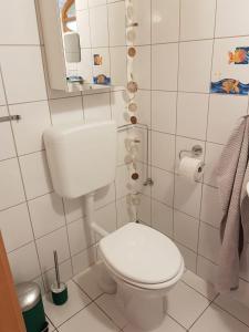 een badkamer met een wit toilet en een spiegel bij Ferienwohnung Zum-alten-Kirschbaum in Limburg an der Lahn