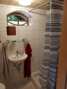 een badkamer met een wastafel en een douchegordijn bij Ferienwohnung Zum-alten-Kirschbaum in Limburg an der Lahn
