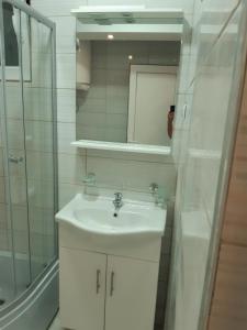 a bathroom with a sink and a shower and a mirror at Apartmani Kosmac in Budva