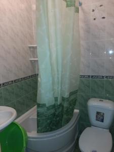 y baño con aseo, lavamanos y cortina de ducha. en Mishel House, en Lazarevskoye