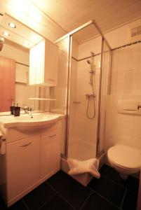 une salle de bain avec douche, lavabo et toilettes dans l'établissement Appartement Ripper, à Saalbach-Hinterglemm