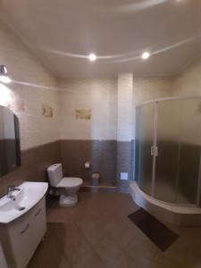 a bathroom with a toilet and a shower and a sink at Гостевой дом in Chornomorsk +88 photos