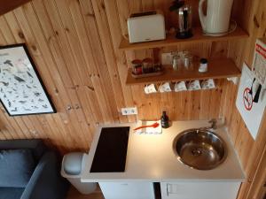 un baño con lavabo en una casa pequeña en Lambhus Glacier View Cabins, en Höfn