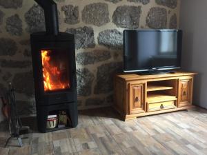 a fireplace with a television and a stove at Gîte des Deux Rieu in Grandrieu