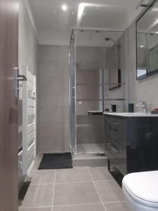 een badkamer met een douche, een toilet en een wastafel bij Le coin des Oliviers in Puget-sur Argens