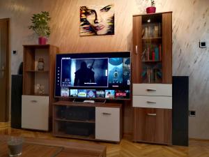 Televiisor ja/või meelelahutuskeskus majutusasutuses Apartman VILLA Cacak
