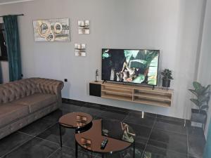un soggiorno con divano e TV a schermo piatto di Villa Prova M a Jezera