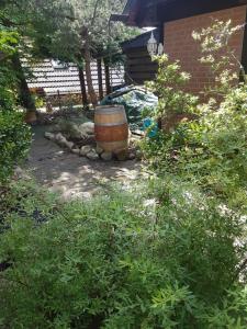 ブラズィリアンにあるFerienhaus Peter Dahlの中庭に腰掛ける樽