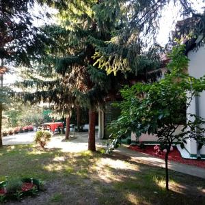 Zahrada ubytování Šumska kuća Atina - Devojački Bunar