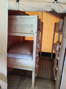 Ce lit superposé se trouve dans un dortoir avec une échelle. dans l'établissement Safaritent op Camping la Douane, à Vresse-sur-Semois