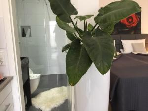 a green plant in a bathroom with a toilet at Hotel Zum Berggarten in Kassel