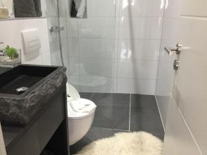 a bathroom with a shower and a toilet and a sink at Hotel Zum Berggarten in Kassel