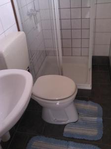 a bathroom with a white toilet and a sink at Stacaravanverhuur KR00N chalet FF-5 in Workum