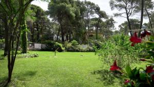 カステッラネータ・マリーナにあるLamaisonBlancheの緑草・木・赤花の庭