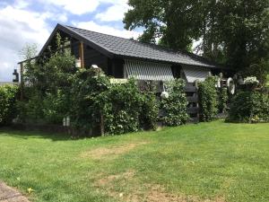 Taman di luar C’est la vie