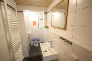 a bathroom with a sink and a toilet and a mirror at Ferienhaus Am Wald in Tambach-Dietharz