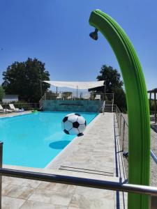 a soccer ball sitting on the edge of a pool at B&B Casazze Dream in Marcaria