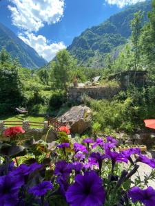 a garden with purple flowers and mountains in the background at Ecrins Lodge in Le Bourg-dʼOisans