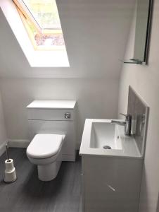 a bathroom with a toilet and a sink and a skylight at Kilberry Guest House in Beauly