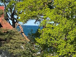 a view of the ocean through the trees at Villa An Der See in Timmendorfer Strand