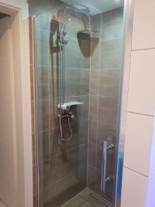 een douche met een glazen deur in de badkamer bij Mainzimmer Business Appartment - Monteurwohnung mit Burgblick in Wertheim