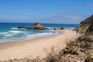 una spiaggia con rocce nell'oceano e fiori di Casa Flora T1 - Vila do Bispo a Vila do Bispo