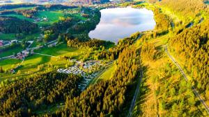 an aerial view of a village on a mountain at NATURION Hotel Hinterzarten in Hinterzarten