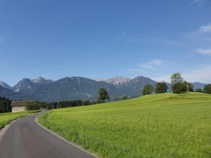 DreamlandRanch Vorarlberg في Schlins: طريق من خلال حقل أخضر مع جبال في الخلف