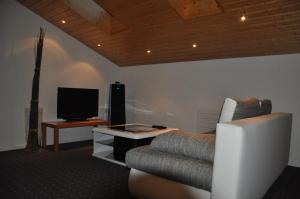 Destimotel في Lichtensteig: غرفة معيشة بها أريكة وتلفزيون