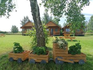 a log cabin with a tree and three wooden boxes with plants at Domki Ekoraj in Jezierzany