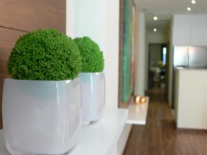 A kitchen or kitchenette at Center City Flats