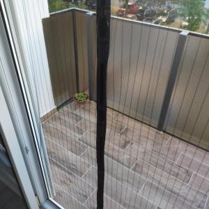 Balkón nebo terasa v ubytování Krénusz Vendégház.
