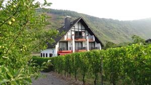a house in the middle of a row of grape vines at Haus Weingarten FERIENWOHNUNGEN in Ernst