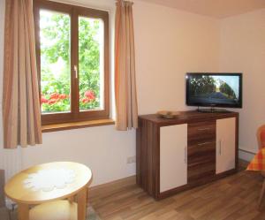 a living room with a tv and a table and a window at Ferienwohnung Königstein in Bad Schandau