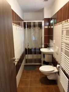 a bathroom with a toilet and a sink and a shower at Klínovecký Apartmánek in Loučná pod Klínovcem