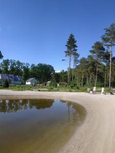 una playa de arena con árboles y casas en el fondo en Tammemarise en Mändjala
